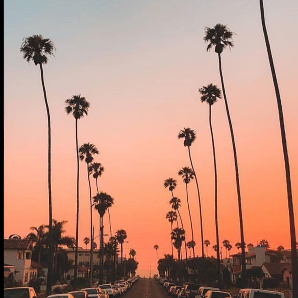 Meet your Posher, Aubrey